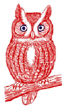 owl